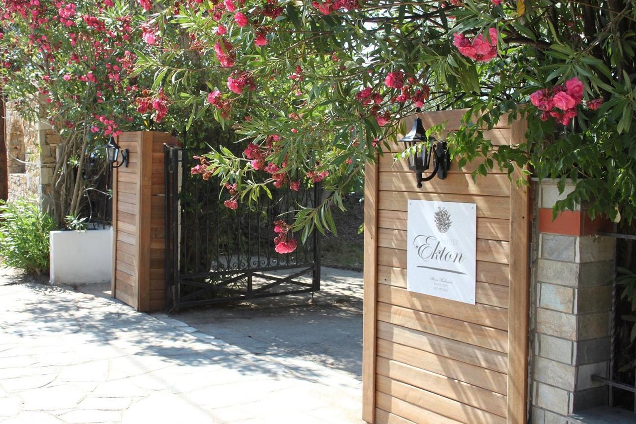 House Ekton Aparthotel Πευκάρι Εξωτερικό φωτογραφία