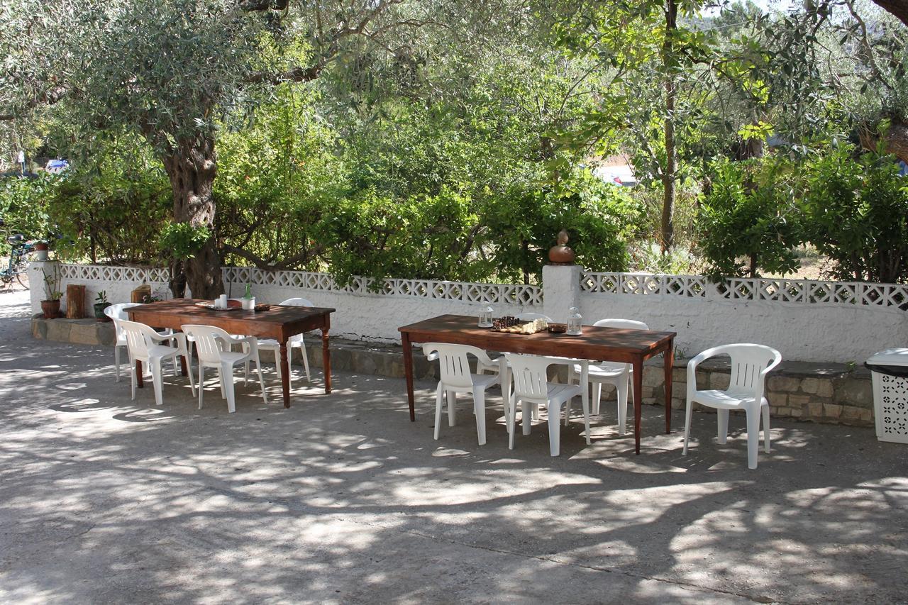 House Ekton Aparthotel Πευκάρι Εξωτερικό φωτογραφία